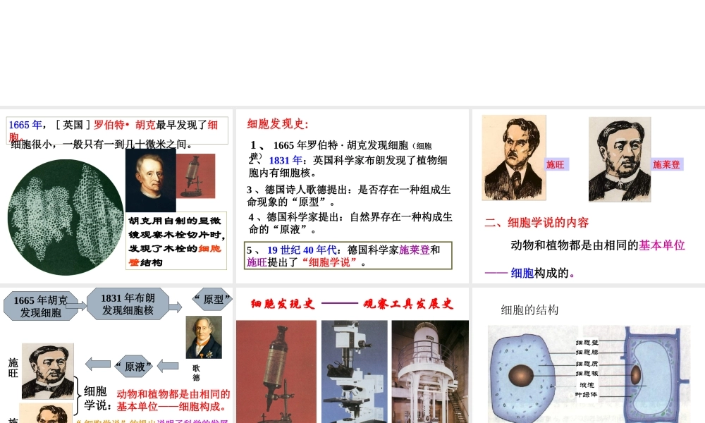 2013年七年级科学上册 2.2 细胞课件1 浙教版