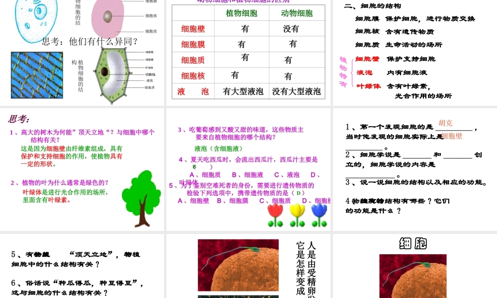 2013年七年级科学上册 2.2 细胞课件1 浙教版