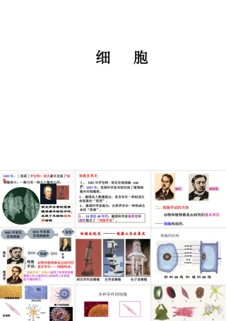 2013年七年级科学上册 2.2 细胞课件1 浙教版