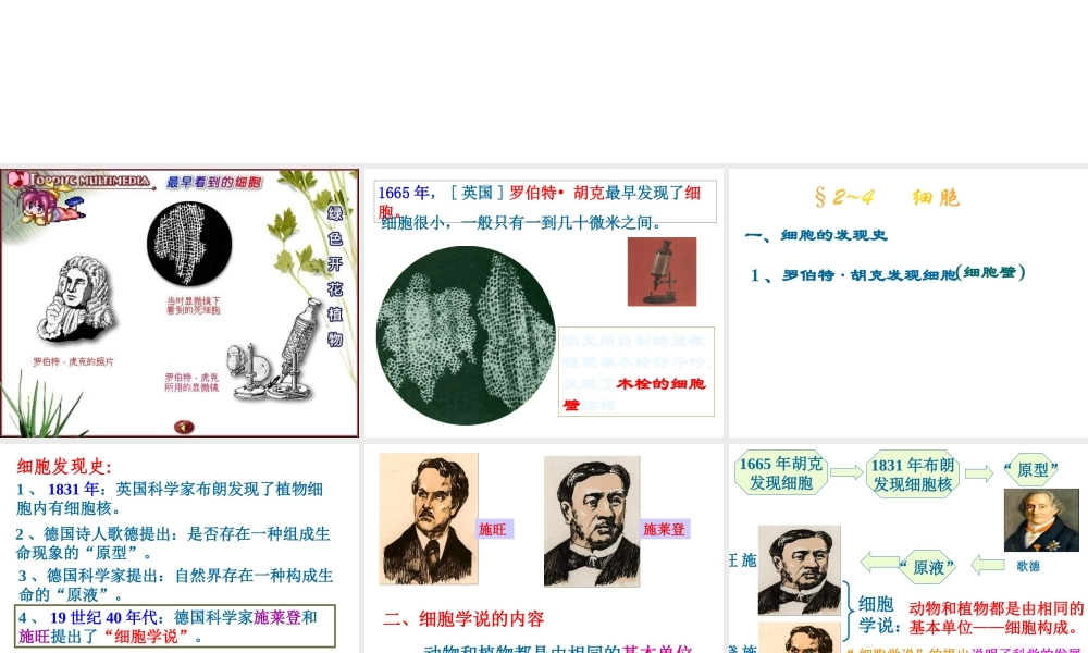 2013年七年级科学上册 2.2 细胞课件2 浙教版