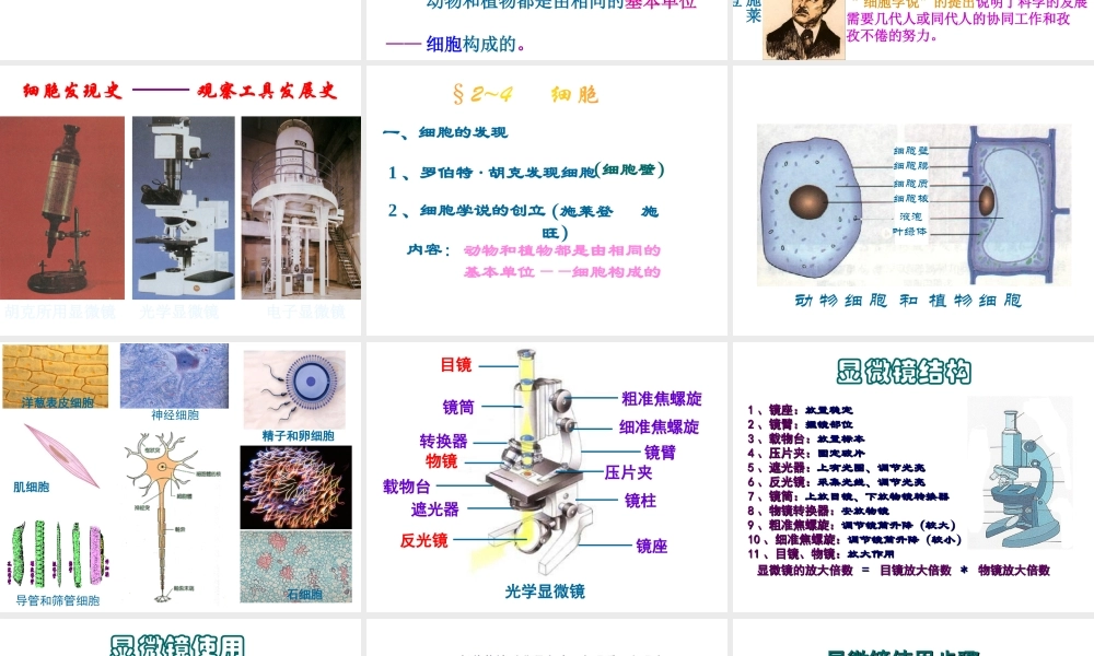 2013年七年级科学上册 2.2 细胞课件2 浙教版