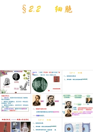 2013年七年级科学上册 2.2 细胞课件2 浙教版
