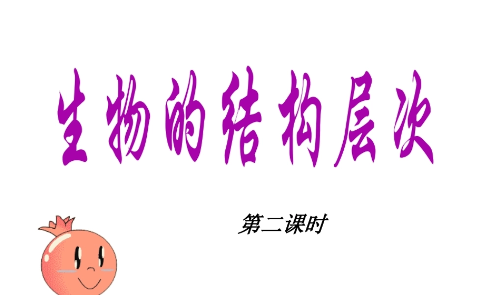 2013年七年级科学上册 2.3 生物的结构层次第二课时课件 浙教版