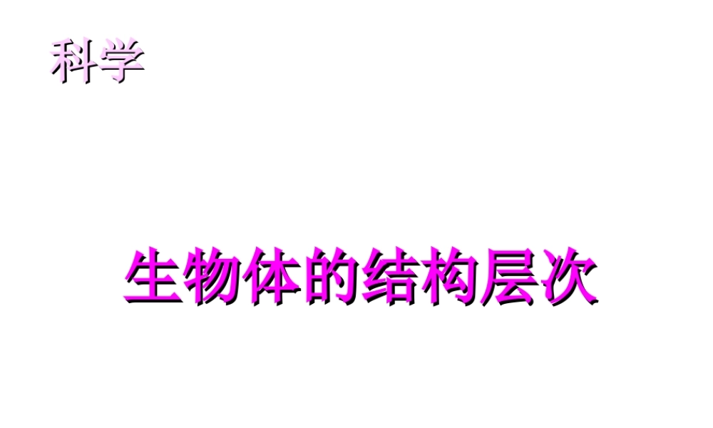 2013年七年级科学上册 2.3 生物体的结构层次课件 浙教版