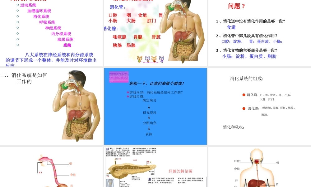2013年七年级科学上册 2.3 生物体的结构层次课件 浙教版