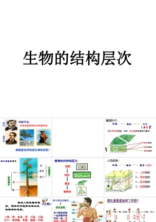 2013年七年级科学上册 2.3生物的结构层次第三课时课件 浙教版