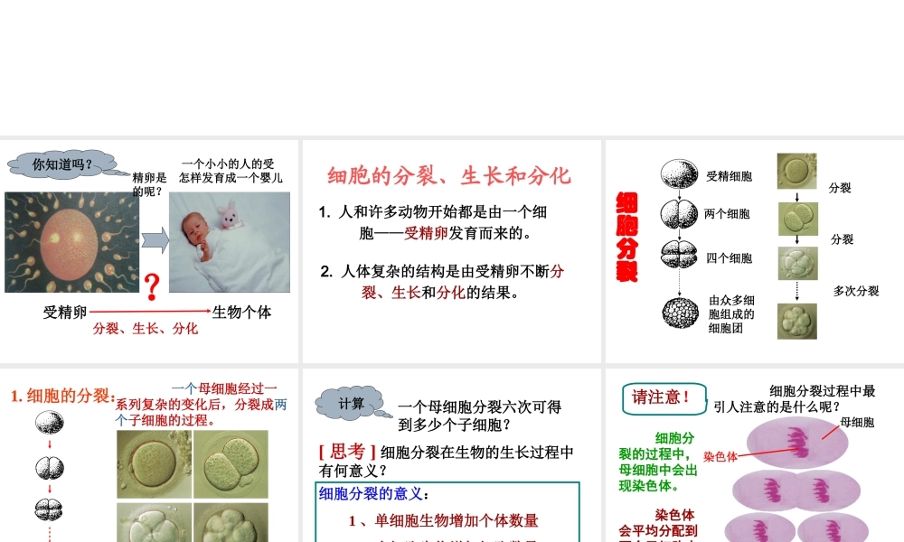 2013年七年级科学上册 2.3生物结构层次第一课时课件 浙教版