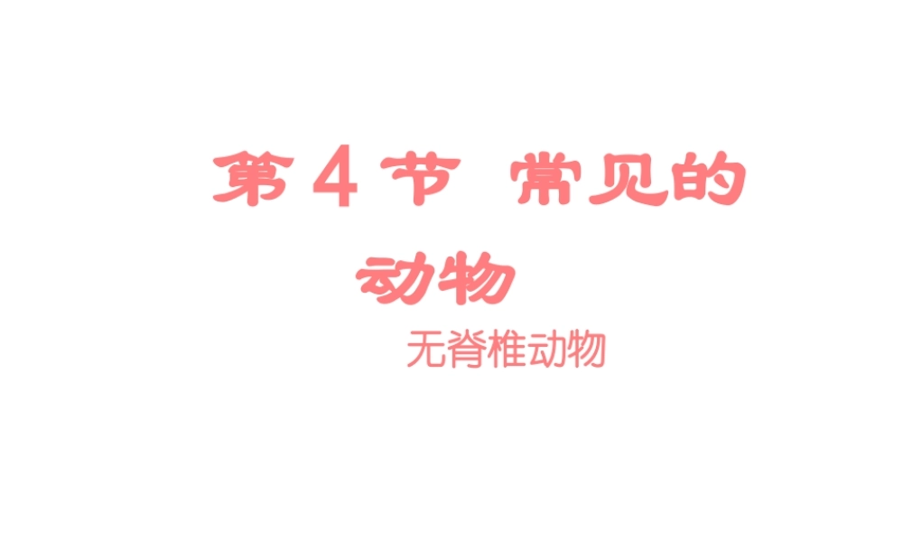 2013年七年级科学上册 2.4 常见的动物第二课时课件 浙教版