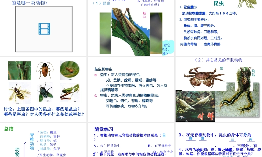 2013年七年级科学上册 2.4 常见的动物第二课时课件 浙教版
