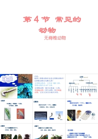 2013年七年级科学上册 2.4 常见的动物第二课时课件 浙教版
