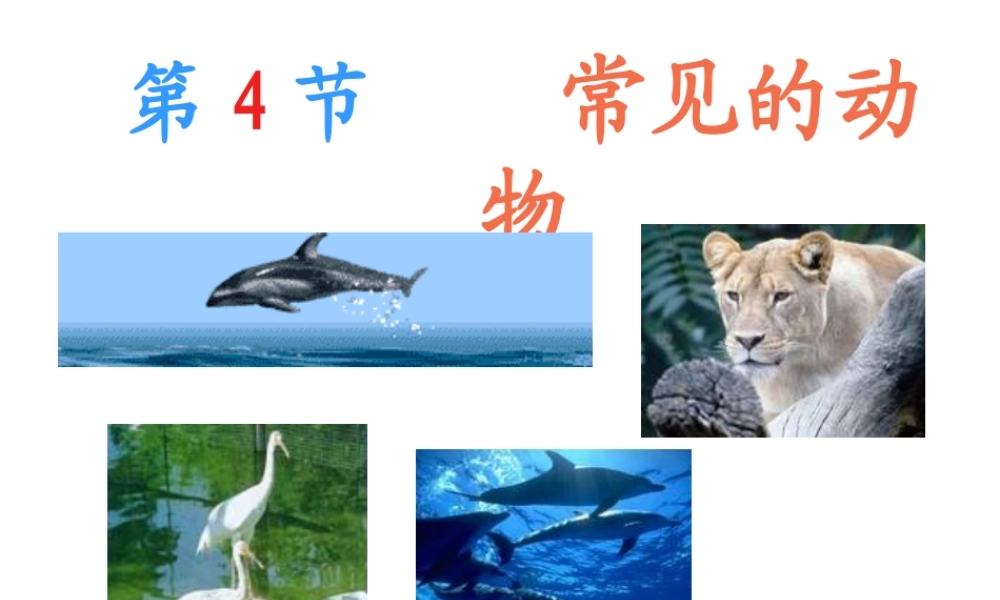 2013年七年级科学上册 2.4.1 常见的动物课件 浙教版
