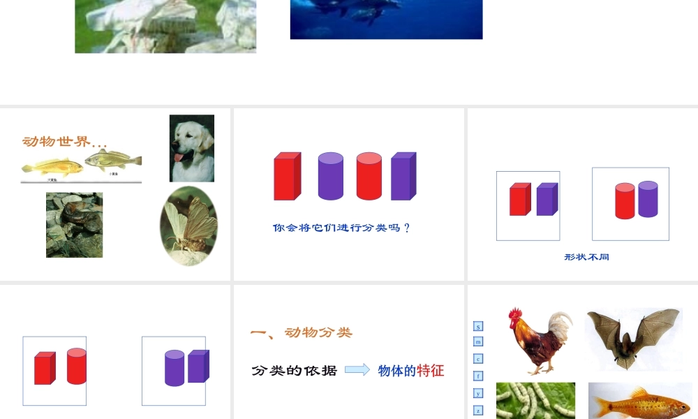 2013年七年级科学上册 2.4.1 常见的动物课件 浙教版