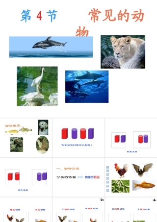 2013年七年级科学上册 2.4.1 常见的动物课件 浙教版