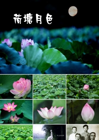 2012年高中语文 第三单元第9课 荷塘月色 粤教版必修1