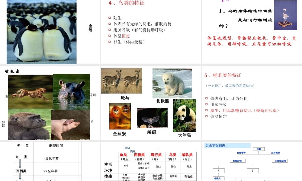 2013年七年级科学上册 2.4.2 常见的动物课件 浙教版