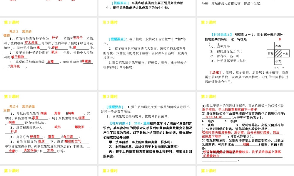 2012版中考科学一轮复习 第3课时常见的生物精品课件 浙教版