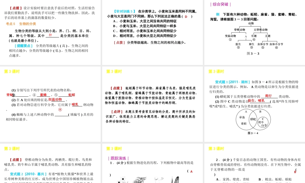 2012版中考科学一轮复习 第3课时常见的生物精品课件 浙教版
