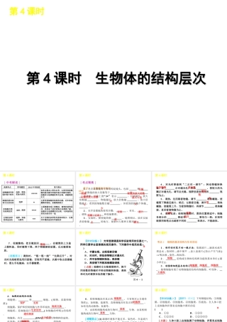2012版中考科学一轮复习 第4课时生物体的结构层次精品课件 浙教版