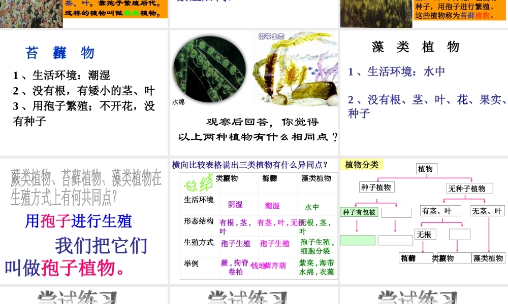 2013年七年级科学上册 2.5.2 常见的植物课件 浙教版