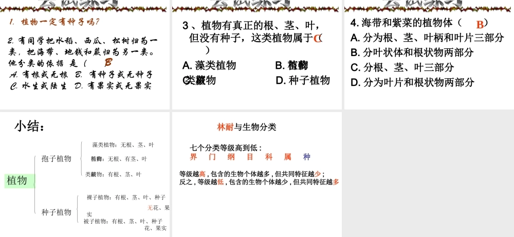 2013年七年级科学上册 2.5.2 常见的植物课件 浙教版