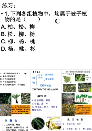 2013年七年级科学上册 2.5.2 常见的植物课件 浙教版