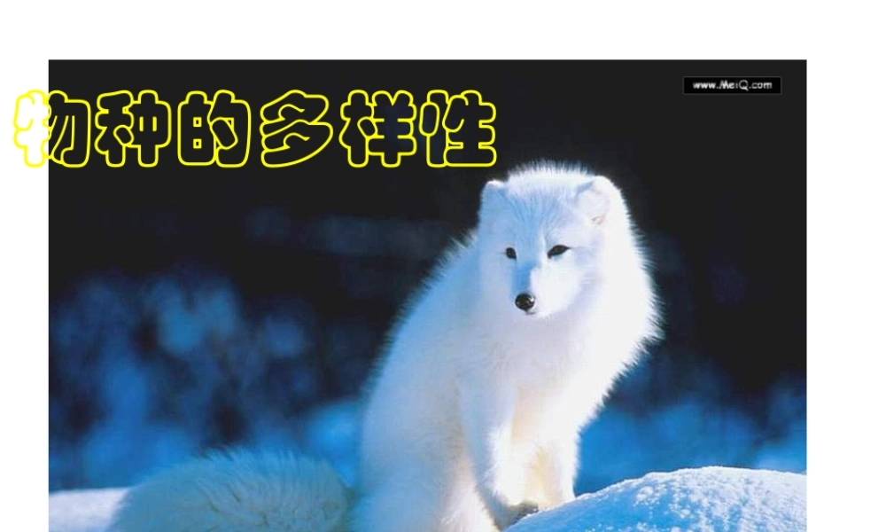 2013年七年级科学上册 2.6 生物多样性课件 浙教版