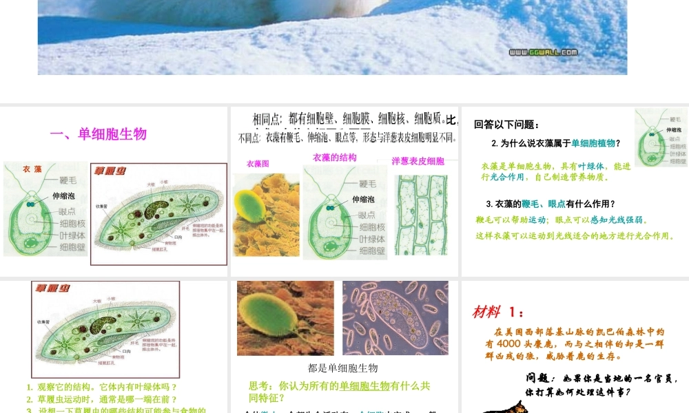 2013年七年级科学上册 2.6 生物多样性课件 浙教版