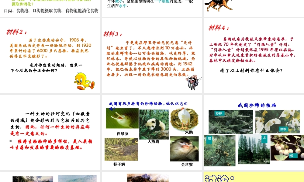 2013年七年级科学上册 2.6 生物多样性课件 浙教版