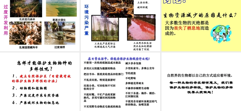 2013年七年级科学上册 2.6 生物多样性课件 浙教版