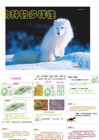 2013年七年级科学上册 2.6 生物多样性课件 浙教版