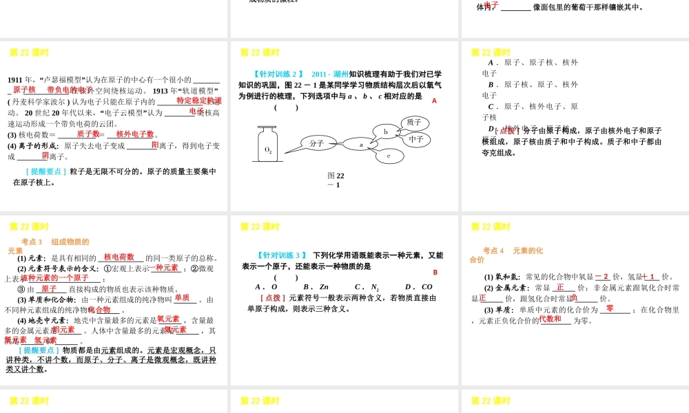 2012版中考科学一轮复习 第22课时粒子的模型与符号精品课件 浙教版
