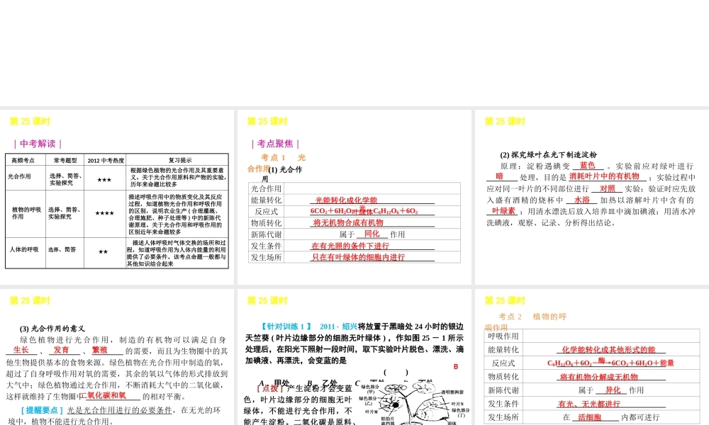 2012版中考科学一轮复习 第25课时光合作用和呼吸作用精品课件 浙教版