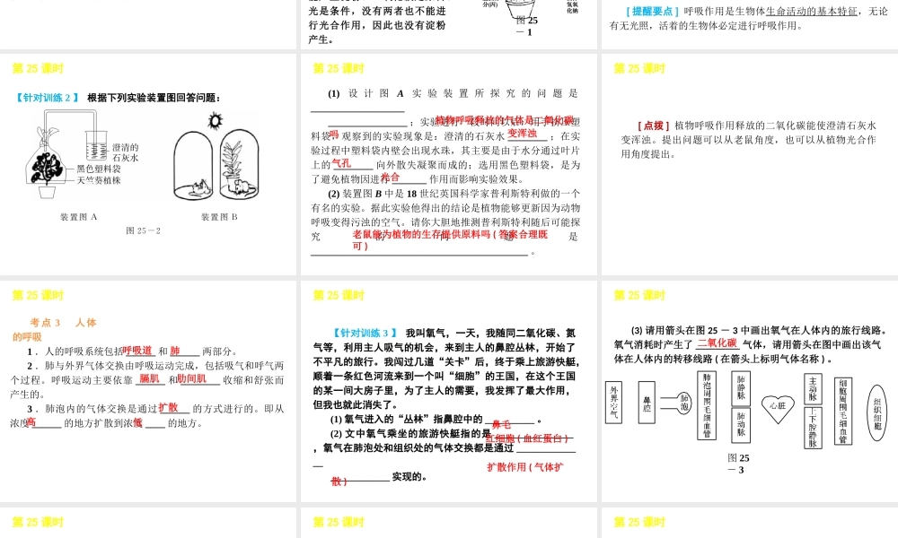 2012版中考科学一轮复习 第25课时光合作用和呼吸作用精品课件 浙教版