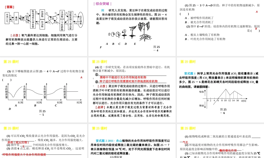 2012版中考科学一轮复习 第25课时光合作用和呼吸作用精品课件 浙教版