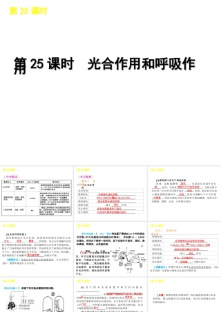 2012版中考科学一轮复习 第25课时光合作用和呼吸作用精品课件 浙教版