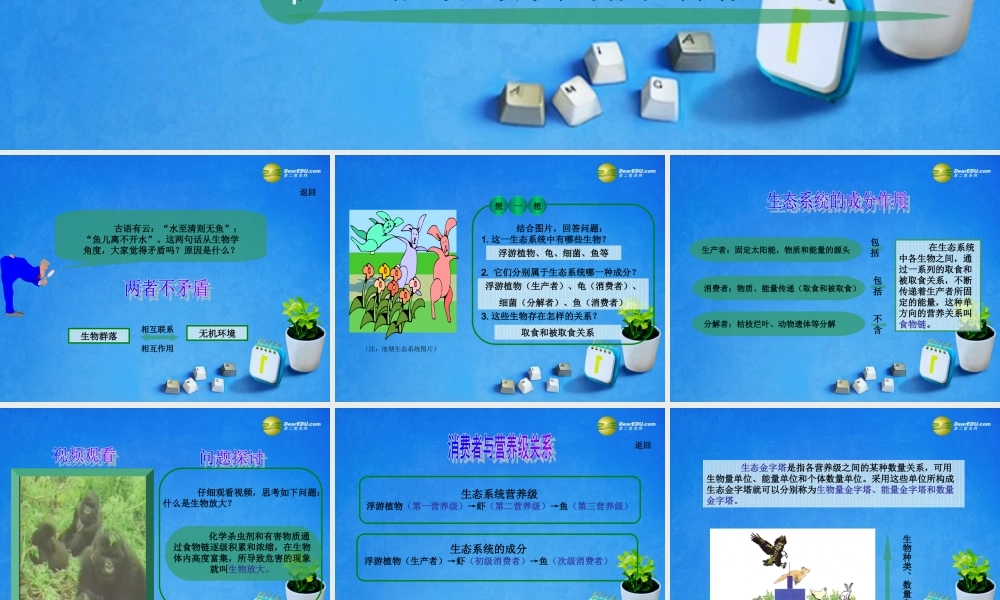 2014年高中生物 第六章 第一节 生态系统的营养结构课件2 浙科版必修3