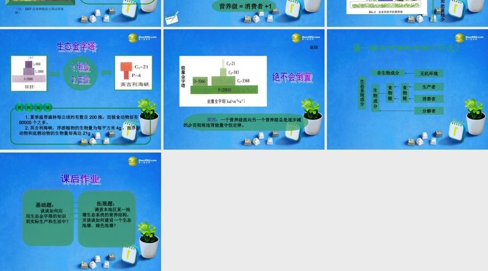 2014年高中生物 第六章 第一节 生态系统的营养结构课件2 浙科版必修3