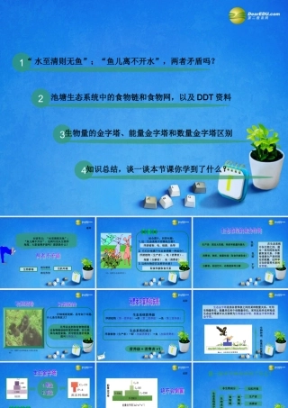 2014年高中生物 第六章 第一节 生态系统的营养结构课件2 浙科版必修3