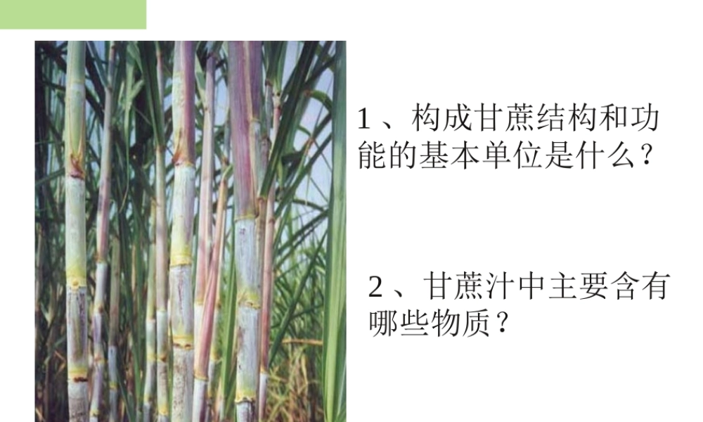 2013年七年级科学上册 4.1 物质的构成课件2 浙教版