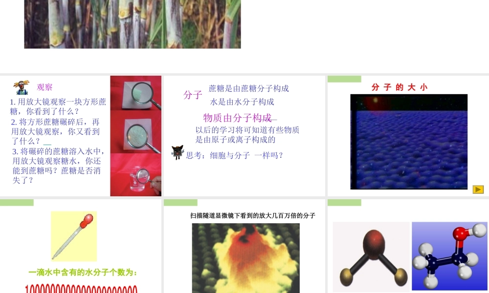 2013年七年级科学上册 4.1 物质的构成课件2 浙教版