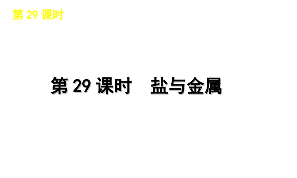 2012版中考科学一轮复习 第29课时盐与金属精品课件 浙教版