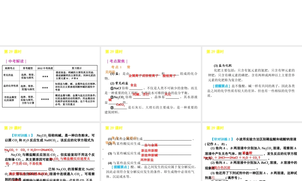 2012版中考科学一轮复习 第29课时盐与金属精品课件 浙教版