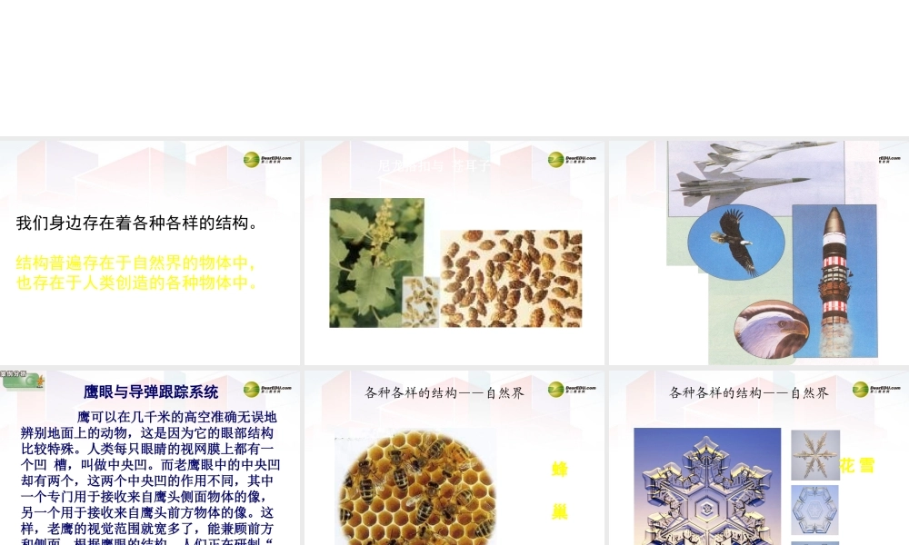 2014年高中通用技术 1.1认识结构课件 地质版