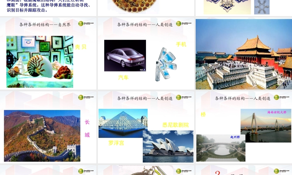 2014年高中通用技术 1.1认识结构课件 地质版