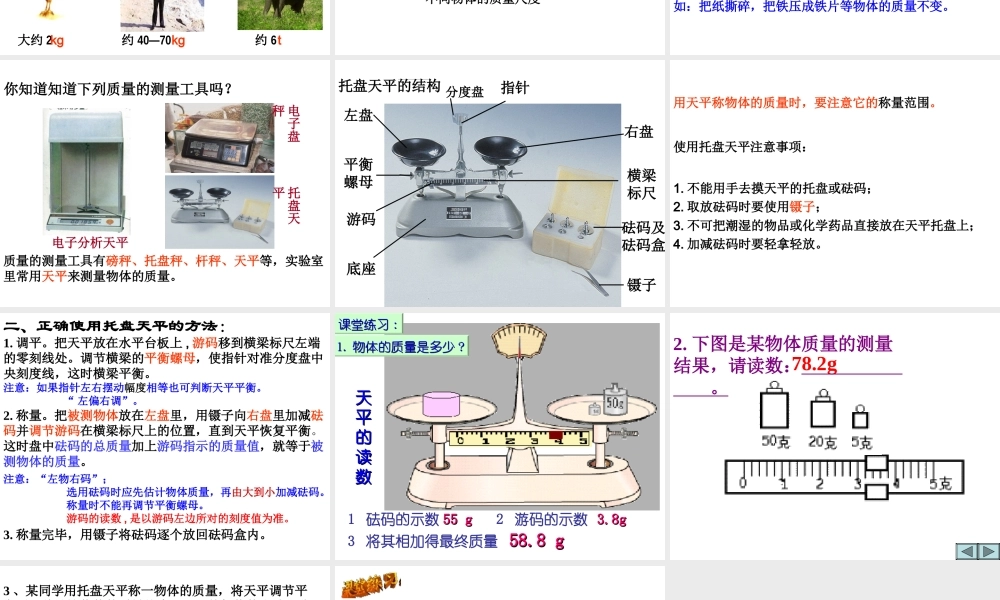 2013年七年级科学上册 4.2 质量的测量课件1 浙教版