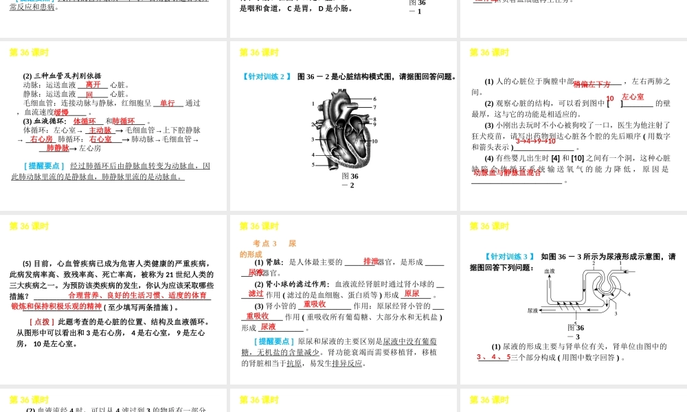 2012版中考科学一轮复习 第36课时代谢与平衡精品课件 浙教版