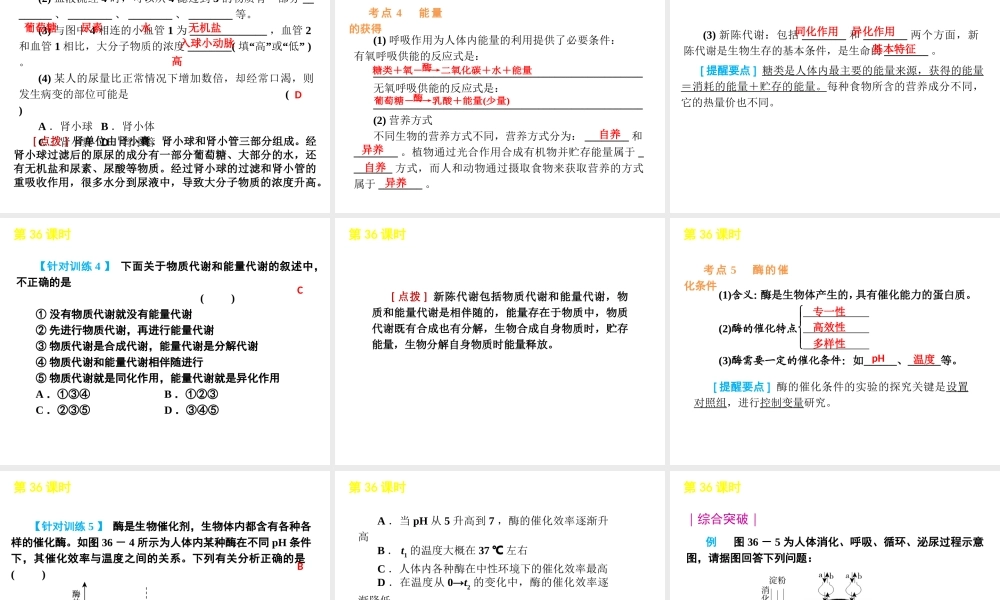 2012版中考科学一轮复习 第36课时代谢与平衡精品课件 浙教版