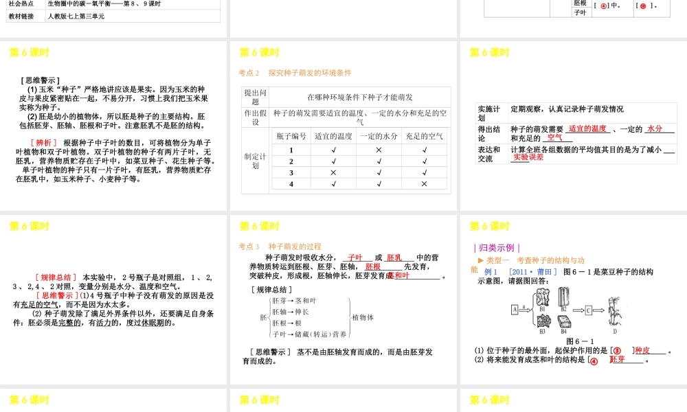 2012版中考生物二轮复习 专题二生物圈中的绿色植物精品课件 人教新课标版