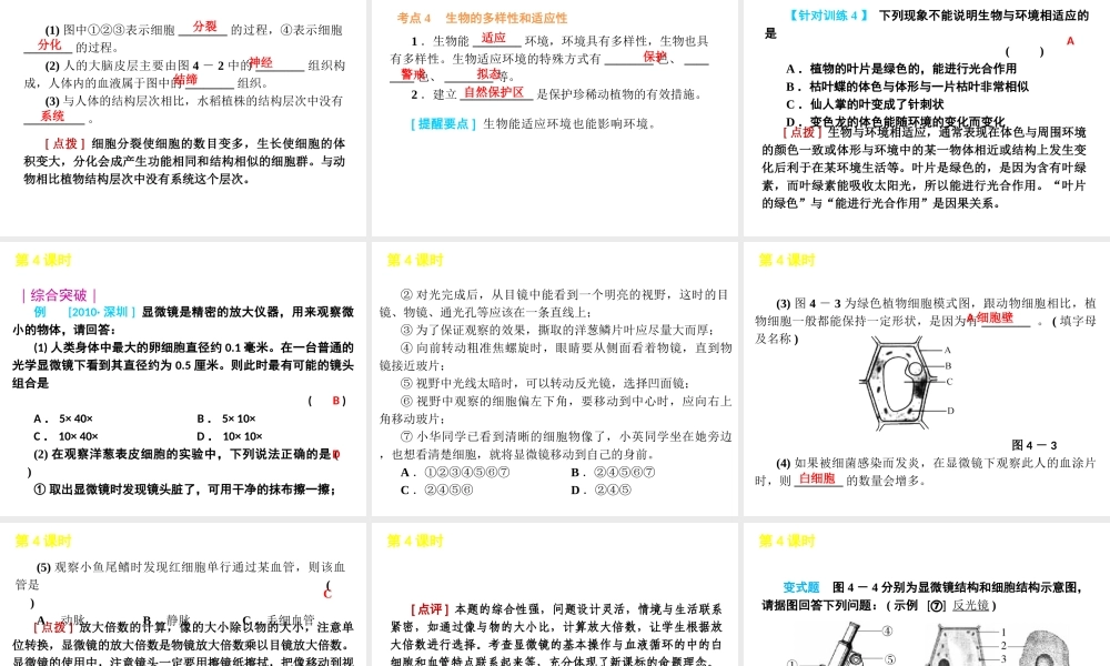 2012版中考生物一轮复习（含2011中考新题） 第4课时生物体的结构层次精品课件 浙教版