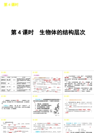 2012版中考生物一轮复习（含2011中考新题） 第4课时生物体的结构层次精品课件 浙教版